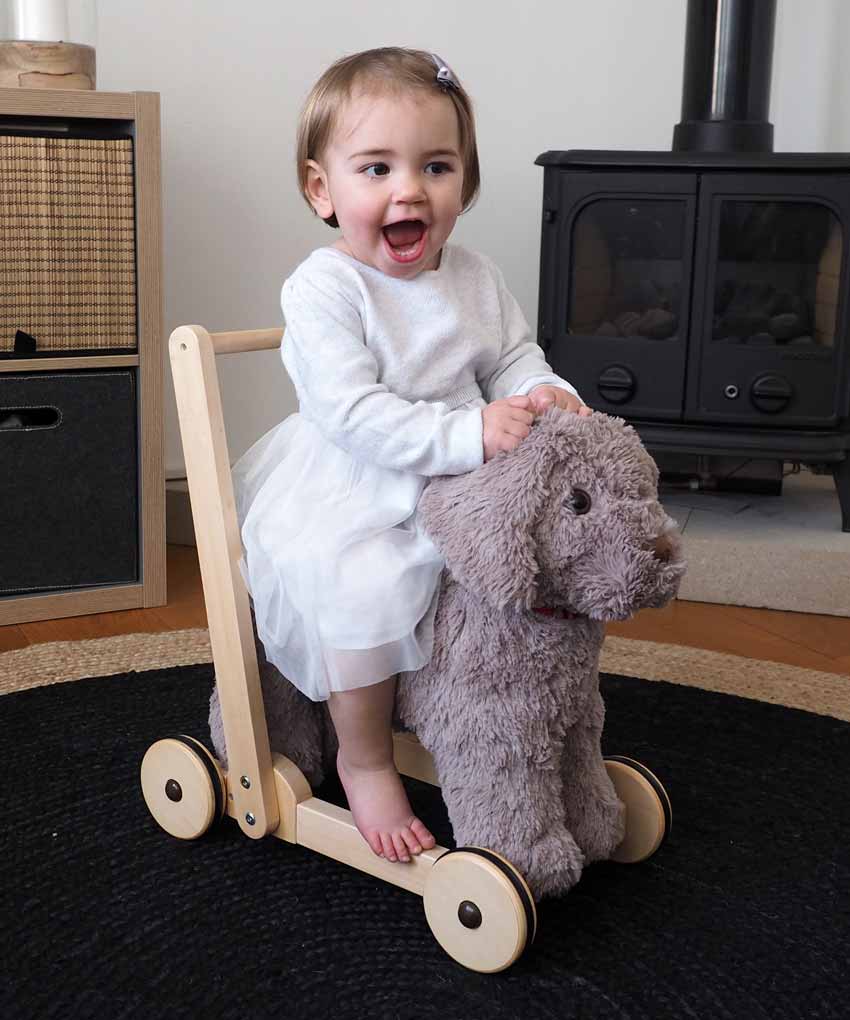 Bailey Dog Baby Walker