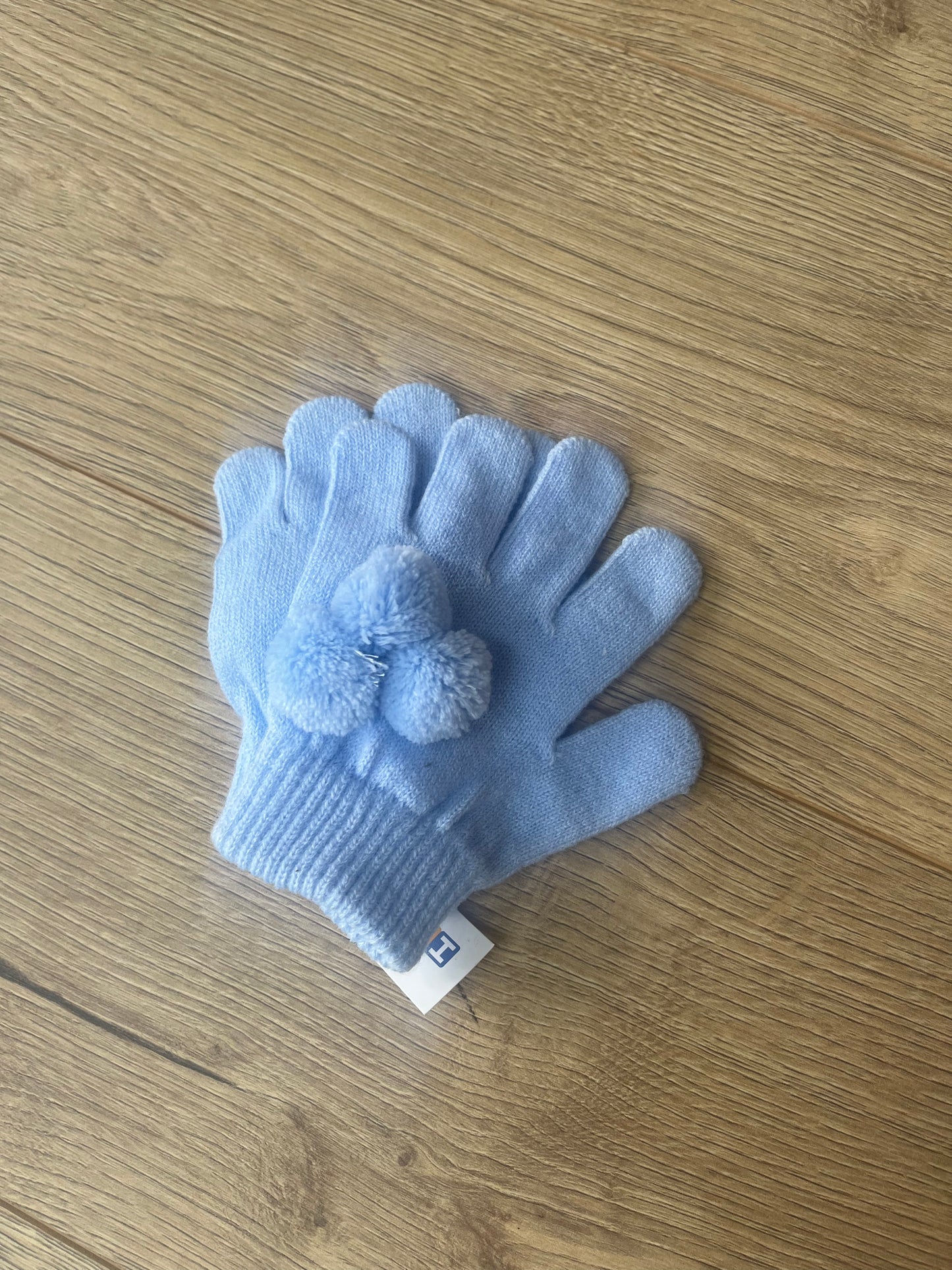Blue Toddler Gloves (One size)