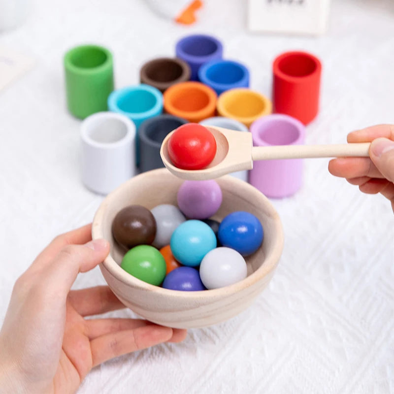 Baby Montessori Wooden Ball and Cups Colour Sorting Games