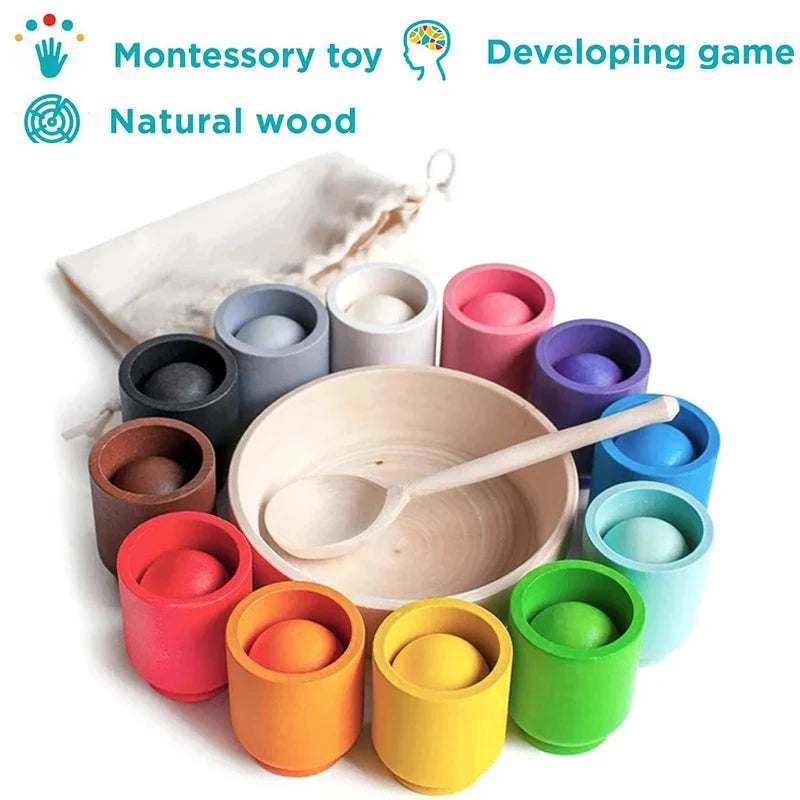 Baby Montessori Wooden Ball and Cups Colour Sorting Games