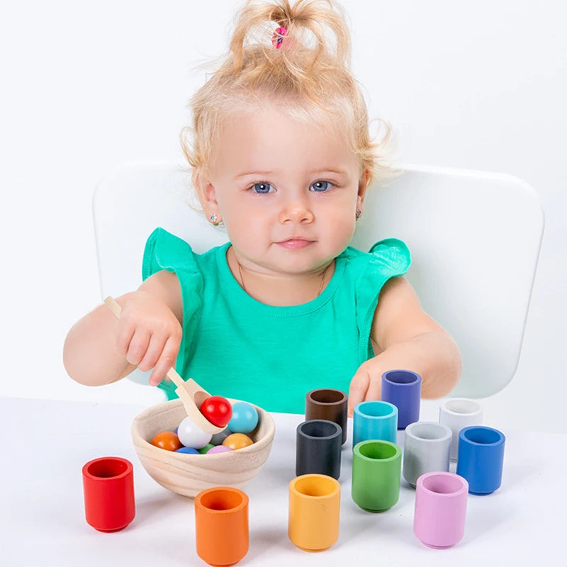 Baby Montessori Wooden Ball and Cups Colour Sorting Games